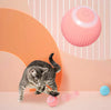 PawTopia - Interactive Ball