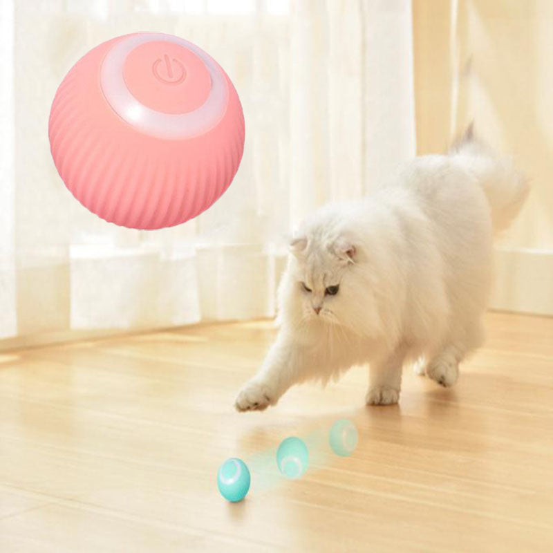 PawTopia - Interactive Ball